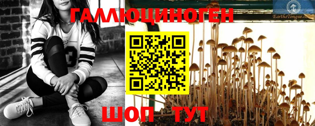 Галлюциногенные грибы GOLDEN TEACHER Чебаркуль