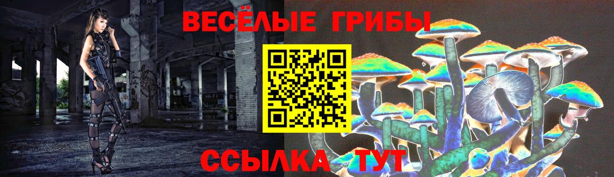 Чебаркуль  Галлюциногенные грибы мицелий  Вход с VPN 